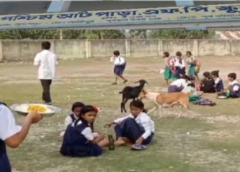 ফাঁকা মাঠে বসে কুকুর ও ছাগলের সঙ্গেই মিড-ডে মিল খেতে বাধ্য হচ্ছে পড়ুয়ারা, জানেনই না তৃণমূল বিধায়ক