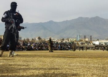 বিভিন্ন অপরাধে ৩ মহিলাসহ ১১ জনকে খোলা মাঠে বেত্রাঘাত করল তালিবান, দেখল কয়েক হাজার মানুষ