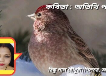 কবিতা : অতিথি পাখি