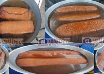 দেবদাস উপন্যাসকে আঁকড়ে বর্ধমানের হাতিপোতা গ্রামে চলা মেলার আকর্ষণের কেন্দ্রবিন্দুতে ৭ কেজি ওজনের পেল্লাই মিষ্টান্ন