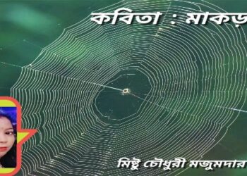 কবিতা : মাকড়সা