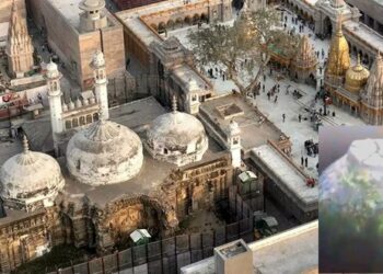 জ্ঞানভাপির কাঠামোর এএসআই সমীক্ষা জনসমক্ষে প্রকাশ করার নির্দেশ দিল বারাণসী আদালত