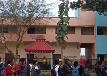 টুকলি রুখতে মহিলা ডিএল-এড পরীক্ষার্থদের অন্তর্বাস খুলিয়ে চেকিং, অভিযোগ পেয়ে তদন্তে নামল প্রাথমিক শিক্ষা সংসদ