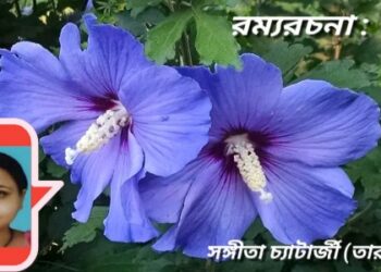 রম্যরচনা : ফুল