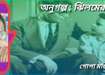 অনুগল্প : ঝিলমের খুশি