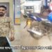 জেল থেকে ছাড়া পেয়েই বাইক চুরি, কাটোয়া থানা পুলিশের হাতে ধরা পড়লো সাদ্দাম শেখ