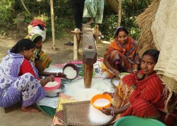 পৌষ পার্বণে সাবেকি ঢেঁকিকে আঁকড়ে আয়ের দিশা খুঁজে পাচ্ছেন বর্ধমানের প্রত্যন্ত গ্রামের বধূরা