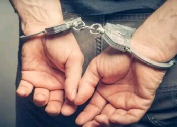 কেন্দ্রীয় সংস্থার আধিকারিক পরিচয় দিয়ে তোলাবাজির অভিযোগে গ্রেফতার উত্তর ২৪ পরগনার যুবক