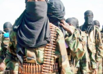 নাইজেরিয়ায় ইসলামি সন্ত্রাসীরা ৬ গ্রামবাসীকে হত্যা করেছে, ৫০ জনকে অপহরণ করেছে