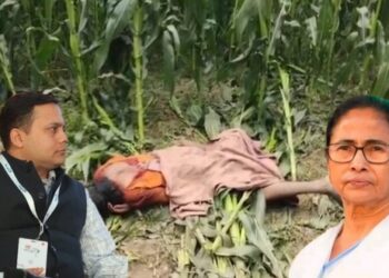 পশ্চিমবঙ্গের মহিলাদের জন্য মমতা ব্যানার্জি অভিশাপ : অমিত মালব্য