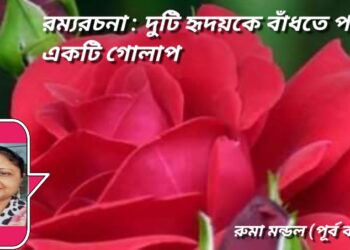 রম্যরচনা : দুটি হৃদয়কে বাঁধতে পারেনি একটি গোলাপ