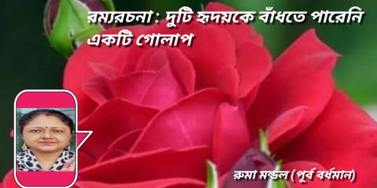 রম্যরচনা : দুটি হৃদয়কে বাঁধতে পারেনি একটি গোলাপ