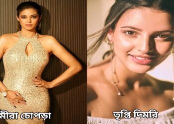 বলিউড নিউজ : বিয়ের পিঁড়িতে বসতে চলেছেন প্রিয়াঙ্কা চোপড়ার বোন মীরা চোপড়া, ভুল ভুলাইয়া-৩ টিমে যোগ দিলেন তৃপ্তি দিমরি