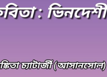 কবিতা : ভিনদেশী তারা