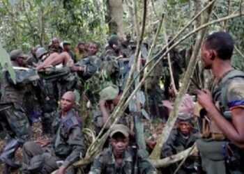 কঙ্গোয় ১১ জন গ্রামবাসীকে নির্মমভাবে হত্যা করল ইসলামী সন্ত্রাসীরা