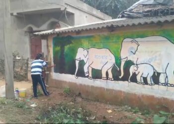 শিল্পীদের তুলির টানে নব রূপে সেজে উঠছে জঙ্গল সুন্দরী  লবনধার গ্রাম 