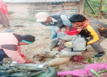 ভাতারে বেপরোয়া ডাম্পারের ধাক্কায় মৃত্যু সবজি বিক্রেতা বাবা ও ছেলের