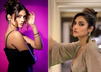 ১৪৪ নয়, ‘সন্দেশখালিতে ১৭৪ ধারা চলছে’ বললেন তৃণমূল সাংসদ নুসরাত জাহান, ‘তৃণমূলের রত্ন’- কটাক্ষ বিজেপি নেত্রীর