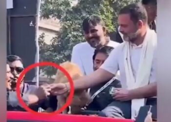 কুকুরের বিস্কুট দলীয় কর্মীকে খেতে দিলেন রাহুল গান্ধী, লোকসভা ভোটের মুখেই নতুন বিতর্কে জড়ালেন কংগ্রেসের যুবরাজ