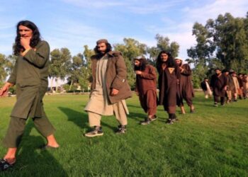 ইসলামী স্টেটের খোরাসান শাখা তেহরিক-ই- তালেবান পাকিস্তানের কাছে অস্ত্র নেওয়ার মতলব করছে  :  জাতিসংঘ