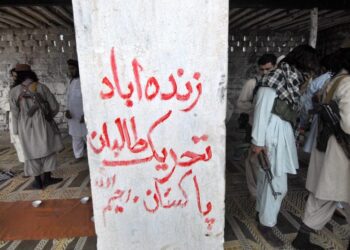 পাকিস্তানের দুই ইসলামি নেতাকে সেনার বিরুদ্ধে জিহাদের জন্য দলে যোগ দেওয়ার আহ্বান জানালো টিটিপি