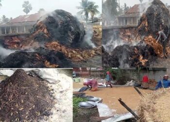 কুসুমগ্রামে দুই পাড়ায় ১ টি মড়াই ও ৫ টি পালুইয়ে আগুন লাগিয়ে দেওয়ার অভিযোগ, কয়েক লক্ষ টাকার ক্ষয়ক্ষতি