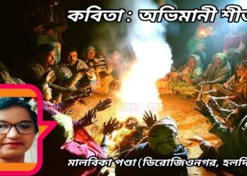 কবিতা : অভিমানী শীত