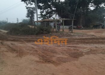 বালি কারবারীদের দৌরাত্মে বিপন্ন দামোদরের  বাঁধ, বর্ষায় বিপর্যয়ের আশঙ্কায় শঙ্কিত সেচ দফতর