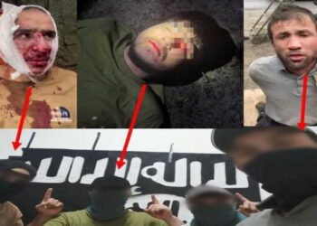 মস্কোর কনসার্ট হলে হামলার ঘটনায় ১১ ইসলামি স্টেট সন্ত্রাসী গ্রেফতার, হামলায় জড়িত থাকার অভিযোগ অস্বীকার করেছে ইউক্রেন