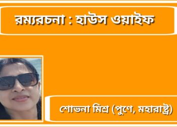 রম্যরচনা : হাউস ওয়াইফ
