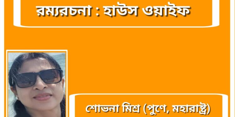 রম্যরচনা : হাউস ওয়াইফ