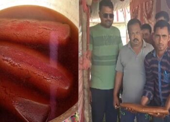 আঁতকে ওঠার মতন ওজন, আকার ও মূল্য : দোল উৎসব উপলক্ষে এমনই মিষ্টি বিক্রি হচ্ছে পূর্বস্থলীর মিষ্টির মেলায়