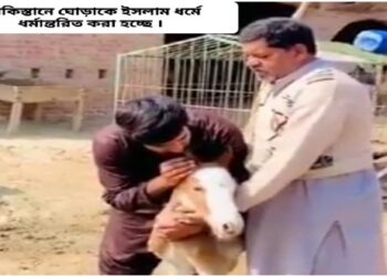 পশুদের ধর্মান্তরিত করা শুরু করল পাকিস্তানিরা, ঘোড়া শাবককে ধর্মান্তরিত করার ভিডিও ভাইরাল