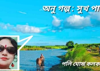 অনু গল্প : সুখ পাখি