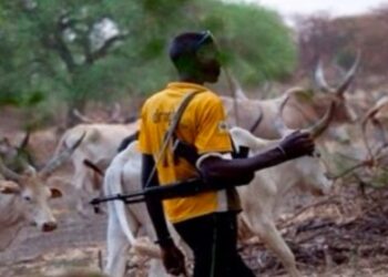 নাইজেরিয়ার ইসলামি ফুলানি পশুপালকরা একজন যাজকসহ ৬ খ্রিস্টানকে হত্যা করেছে