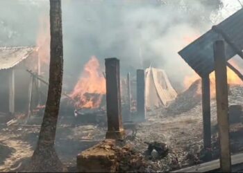 কাটোয়ায় ভয়াবহ অগ্নিকান্ডে ভষ্মীভূত ১৭ টি বাড়ি, ৬ টি গোয়ালঘর,জীবন্ত দগ্ধ হয়ে মৃত্যু ৯২ টি ভেড়ার,অগ্নিদগ্ধ বধূ