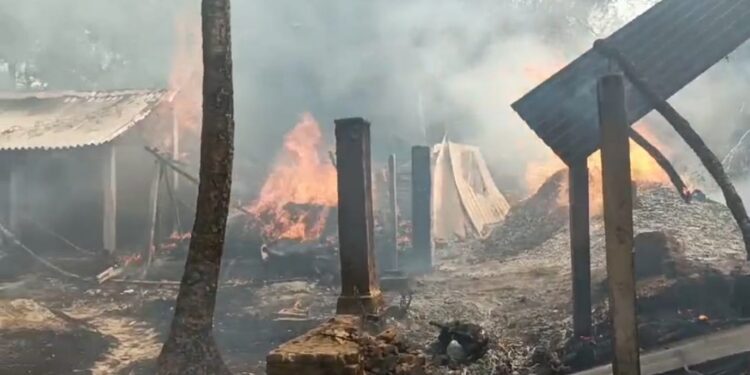 কাটোয়ায় ভয়াবহ অগ্নিকান্ডে ভষ্মীভূত ১৭ টি বাড়ি, ৬ টি গোয়ালঘর,জীবন্ত দগ্ধ হয়ে মৃত্যু ৯২ টি ভেড়ার,অগ্নিদগ্ধ বধূ