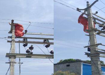 স্বামী ও ৩ সন্তানের সাথে প্রেমিককে নিয়েও সংসার করতে চেয়েছিলেন বধূ, বাধা পেয়ে সটান উঠে পড়লেন বিদ্যুতের খুঁটিতে