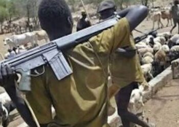 নাইজেরিয়ার গ্রামে ইসলামি সন্ত্রাসী হামলা, গর্ভবতী মহিলাসহ ৭ জনকে নির্মমভাবে হত্যা