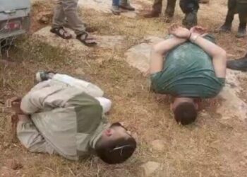 দুই সশস্ত্র ফিলিস্তিনিকে গ্রেফতার করেছে ইসরায়েল ডিফেন্স ফোর্স