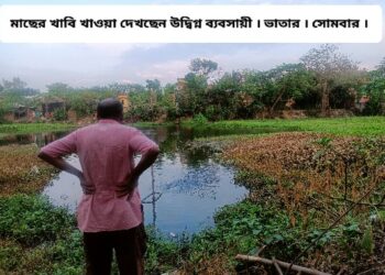 জল কমে যাওয়ায় অক্সিজেনের টান, জলে খাবি খাচ্ছে ঝাঁকে ঝাঁকে মাছ, পুকুরের মাছ গনলুটের আশঙ্কায় বিনিদ্র রাত কাটাচ্ছেন ভাতারের ব্যবসায়ী