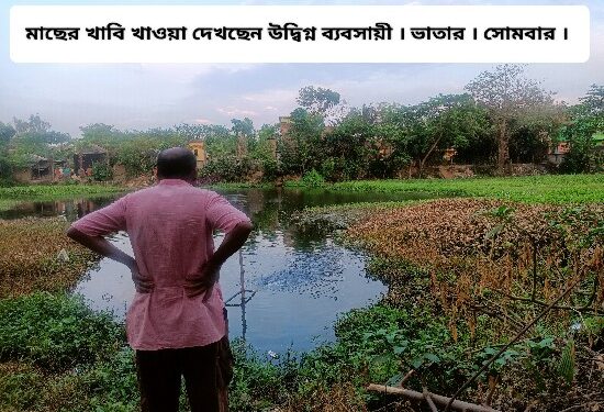জল কমে যাওয়ায় অক্সিজেনের টান, জলে খাবি খাচ্ছে ঝাঁকে ঝাঁকে মাছ, পুকুরের মাছ গনলুটের আশঙ্কায় বিনিদ্র রাত কাটাচ্ছেন ভাতারের ব্যবসায়ী