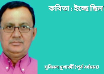 কবিতা : ইচ্ছে ছিল