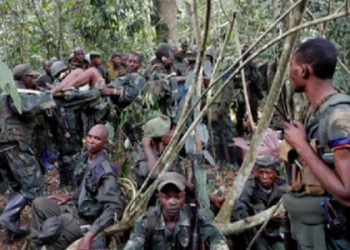 কঙ্গোর স্বাস্থ্যকেন্দ্রে ইসলামি সন্ত্রাসী গোষ্ঠীর হামলায় ৮ জনের মৃত্যু