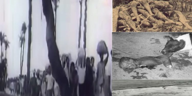 খুলনার চুকনগরের হিন্দু নরসংহার : নিহতদের শ্রদ্ধা জানালেন শুভেন্দু অধিকারী ও তথাগত রায়