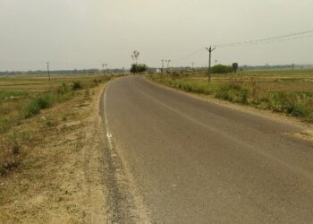 কেটে সাফ করে দেওয়া হয়েছে রাস্তার দু’পাশের গাছ, তীব্র দাবদহে যাতায়ত করতে গিয়ে বিপাকে পড়তে হচ্ছে সাধারণ মানুষকে