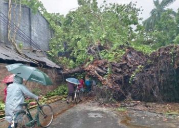 ঘূর্ণিঝড় রেমালের তাণ্ডবে বাংলাদেশের ৬ জেলায় মৃত ১২
