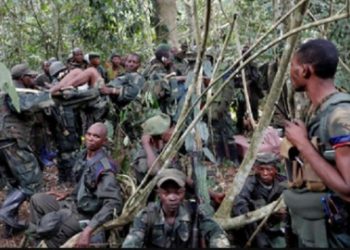 ইসলাম ধর্ম গ্রহণ করতে অস্বীকার করায় কঙ্গোর ৬০ জনেরও বেশি খ্রিস্টানকে নৃশংসভাবে হত্যা