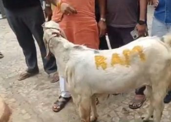 ছাগলের পিঠে “রাম” লিখে জবাই করার চেষ্টা, মুম্বাইয়ে উত্তেজনা, মাংসের দোকানে তালা ঝোলালো প্রশাসন