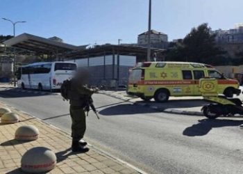 সন্ত্রাসী গোষ্ঠী হামাসকে অর্থায়নের অভিযোগে একজন ফিলিস্তিনিকে গ্রেপ্তার করেছে ফরাসি পুলিশ